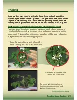 Preview for 29 page of AeroGarden Master Gardener Deluxe Manual