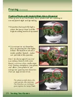 Preview for 30 page of AeroGarden Master Gardener Deluxe Manual