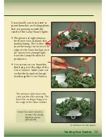 Preview for 31 page of AeroGarden Master Gardener Deluxe Manual