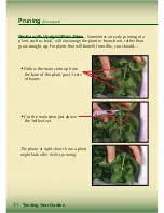 Preview for 32 page of AeroGarden Master Gardener Deluxe Manual