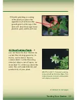 Preview for 33 page of AeroGarden Master Gardener Deluxe Manual