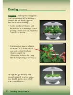 Preview for 34 page of AeroGarden Master Gardener Deluxe Manual