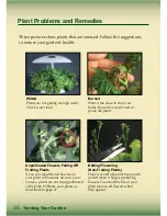 Preview for 36 page of AeroGarden Master Gardener Deluxe Manual