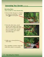 Preview for 38 page of AeroGarden Master Gardener Deluxe Manual