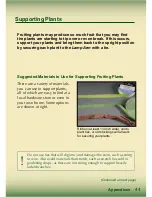 Preview for 45 page of AeroGarden Master Gardener Deluxe Manual