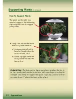 Preview for 46 page of AeroGarden Master Gardener Deluxe Manual