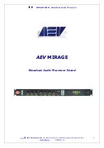 AEV MIRAGE MK III Manual preview