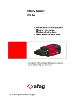 Afag DG 20 Maintenance Instructions Manual preview