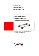 Afag PEZ-100 Maintenance Instructions Manual preview