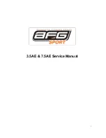 Preview for 1 page of AFG 3.5AE Service Manual