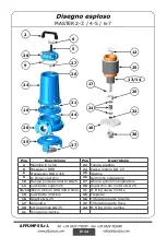 Preview for 13 page of AFPUMPS HM Use And Maintenance Instruction Manual