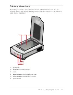 Предварительный просмотр 13 страницы AGFA SNAPSCAN 300 Owner'S Manual