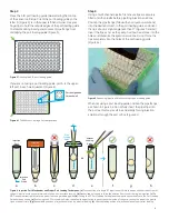 Предварительный просмотр 3 страницы Agilent Technologies Seahorse XFe96 User Manual