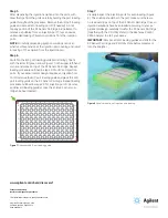 Предварительный просмотр 4 страницы Agilent Technologies Seahorse XFe96 User Manual