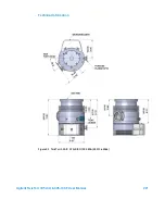 Предварительный просмотр 221 страницы Agilent Technologies TwisTorr 305-IC SF User Manual