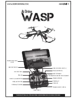 Preview for 1 page of AI DRONE WASP Manual