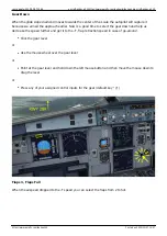 Preview for 12 page of Airbus A320-214 Beginners Tutorial