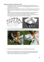 Preview for 23 page of AirDesign VOLT 4 Manual