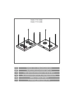 Предварительный просмотр 1 страницы AIRFORCE Apiro F161 AXIAL Instruction On Mounting And Use Manual