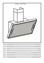 AIRFORCE F153 TSE V6 Instruction On Mounting And Use Manual предпросмотр