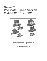 Предварительный просмотр 2 страницы AIRMATIC Syntron TAM Service Instructions Manual