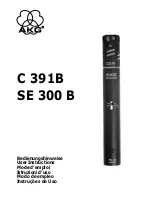 Preview for 1 page of AKG C 319B User Instructions