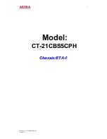 Предварительный просмотр 2 страницы akira CT-21CBS5CPH Service Manual