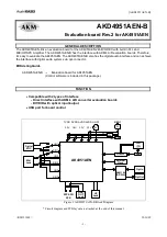 AKM AKD4951AEN-B Manual preview