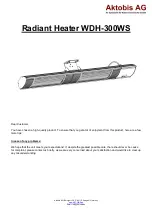 Aktobis WDH-300WS Quick Start Manual preview