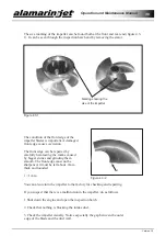 Предварительный просмотр 30 страницы Alamarin Jet AJ 160 Operation And Maintenance Manual