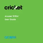 Предварительный просмотр 1 страницы Alcatel Tetra User Manual