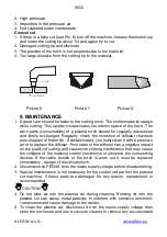 Preview for 19 page of Alfa IN PEGAS 121 PLASMA Operating Manual