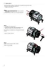 Предварительный просмотр 42 страницы Alfa Laval LKH Series Instruction Manual