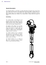 Предварительный просмотр 4 страницы Alfa Laval Toftejorg SaniMega Instruction Manual