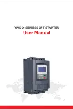 ALI YP5000 Series User Manual предпросмотр