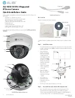 Preview for 1 page of ALIBI ALI-NS1014VR Quick Installation Manual