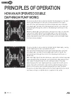 Preview for 6 page of All-Flo A100 Operation & Maintenance Manual