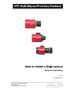 Preview for 1 page of Allied Vision Technologies AVT GigEBigeye User Manual