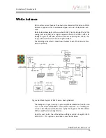 Preview for 70 page of Allied Vision Technologies AVT Marlin Technical Manual