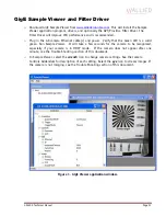 Preview for 21 page of Allied Vision Technologies GX2300C Technical Manual