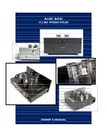 ALLNIC AUDIO h-1201 Owner'S Manual preview