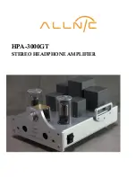 ALLNIC AUDIO HPA-3000GT Owner'S Manual preview