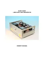 ALLNIC AUDIO L-4000 Owner'S Manual предпросмотр