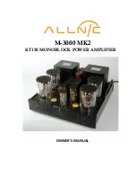 ALLNIC AUDIO M-3000 MK2 Owner'S Manual preview