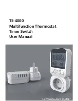 Alloet TS-4000 User Manual предпросмотр