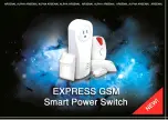 Alpha Arsenal EXPRESS GSM User Manual предпросмотр