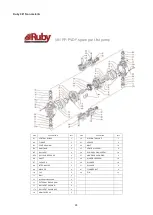 Preview for 24 page of ALPHA DYNAMIC PUMPS Ruby 051 Installation, Operation And Maintenance Manual