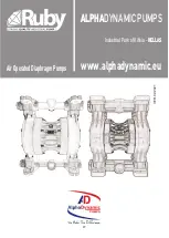 Preview for 27 page of ALPHA DYNAMIC PUMPS Ruby 051 Installation, Operation And Maintenance Manual