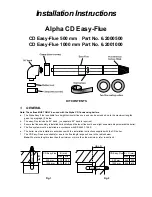 Alpha Alpha CD Easy-Flue Installation Instructions предпросмотр