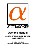 Alphasonik PM12005E Owner'S Manual preview